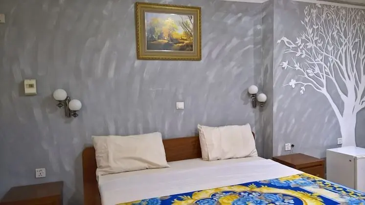 Deluxe Tek Kişilik Oda, 1 Çift Kişilik Yatak