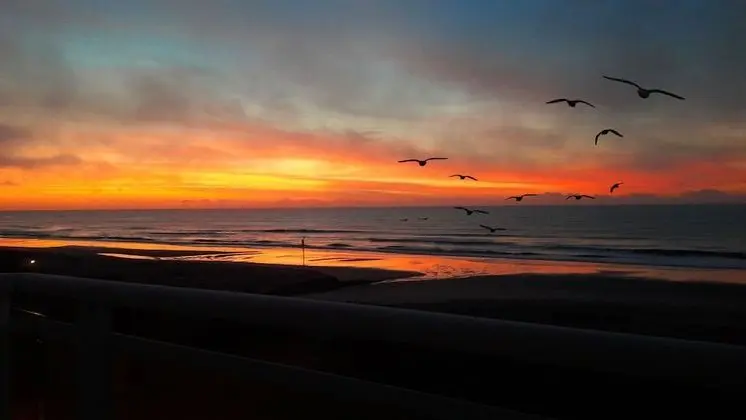 Standard Dört Kişilik Oda, Sigara İçilmez, Deniz Manzaralı