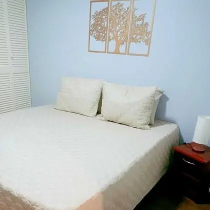 Traditional İki Ayrı Yataklı Oda, Birden Çok Yatak, Avlu Manzaralı