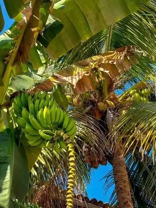 Economy İki Ayrı Yataklı Oda