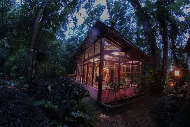 Çatı Katı (Loft) (Hibiscus)