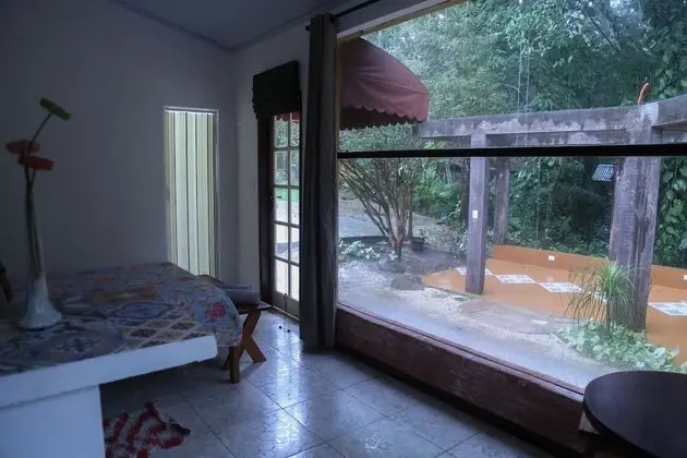 Stüdyo (Helicônia)