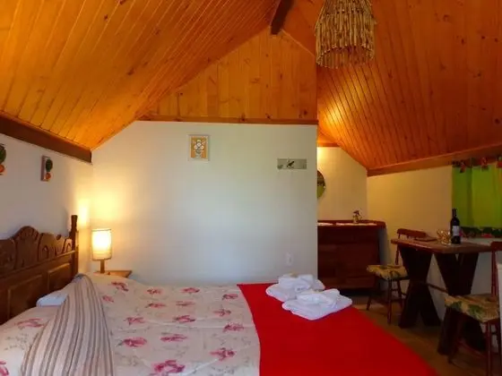 Standard Dağ Evi