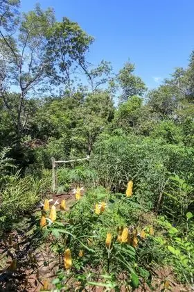 Superior Bungalov, 1 Yatak Odası, Bahçe Manzaralı