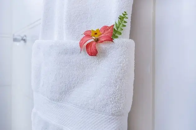 Tek Büyük veya İki Ayrı Yataklı Oda, Bahçe Manzaralı (Master)