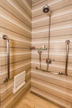 Traditional Tek Büyük veya İki Ayrı Yataklı Oda (Suite Bege)