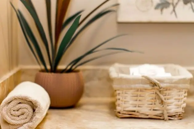 Traditional Tek Büyük veya İki Ayrı Yataklı Oda (Suite Bege)