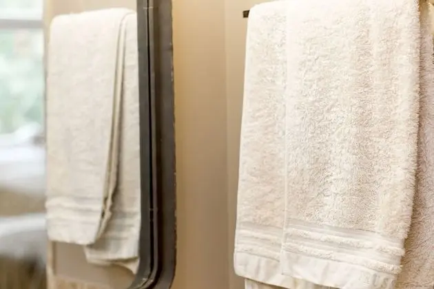 Traditional Tek Büyük veya İki Ayrı Yataklı Oda (Suite Bege)