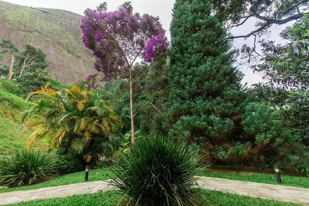 Traditional Tek Büyük veya İki Ayrı Yataklı Oda (Suite Bege)