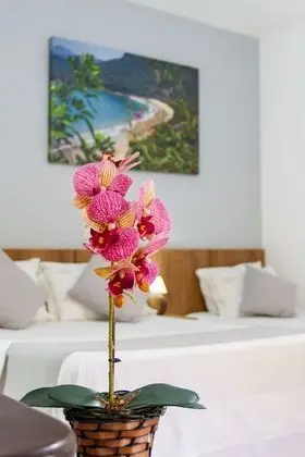 Traditional Tek Büyük Yataklı Oda