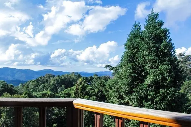 Premium Tek Büyük Yataklı Oda