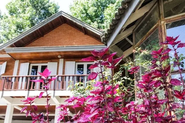 Süit (Suite Master Externa)