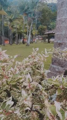 Dağ Evi, 1 Çift Kişilik Yatak, Dağ Yamacı