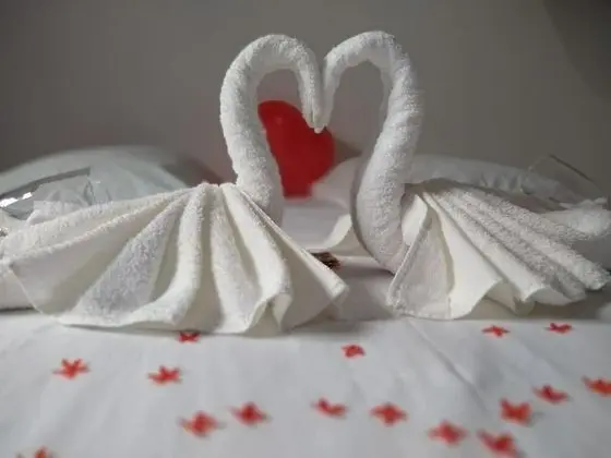 Tek Büyük Yataklı Oda, 1 Çift Kişilik Yatak, Sigara İçilmez