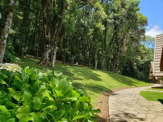 Üç Kişilik Oda (Chalet)
