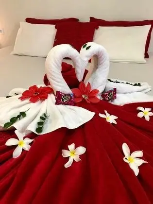 Comfort Oda