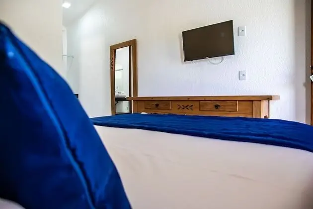 Superior Tek Büyük Yataklı Oda, 1 Yatak Odası, Sigara İçilmez