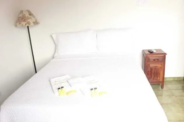 Standard Tek Büyük Yataklı Oda, 1 Çift Kişilik Yatak