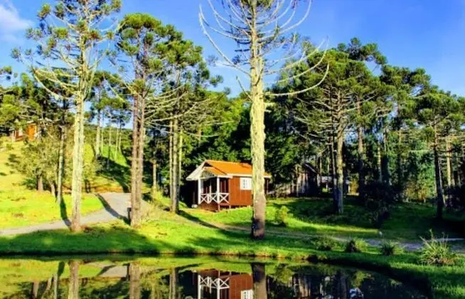 Deluxe Dağ Evi