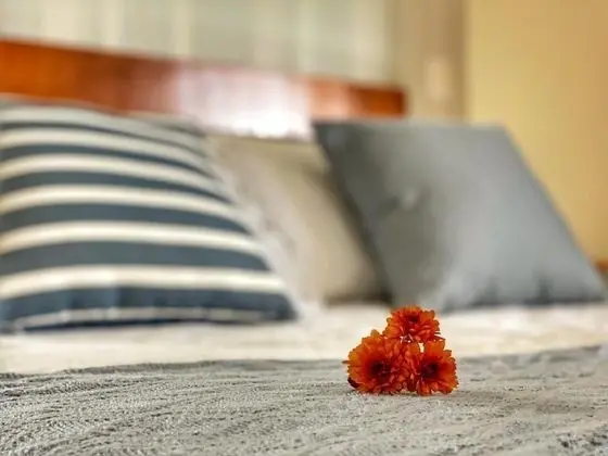 Standard Oda, Bahçe Manzaralı