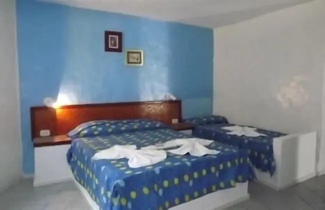 Standard Oda (Girassol)