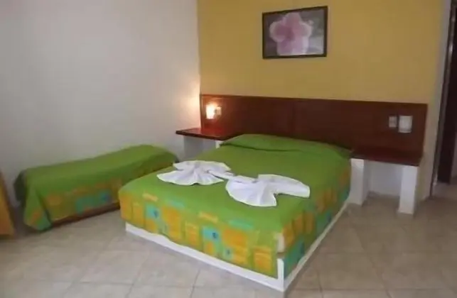 Standard Oda (Girassol)