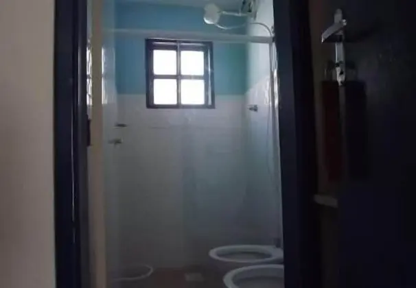 Standard Oda (Girassol)