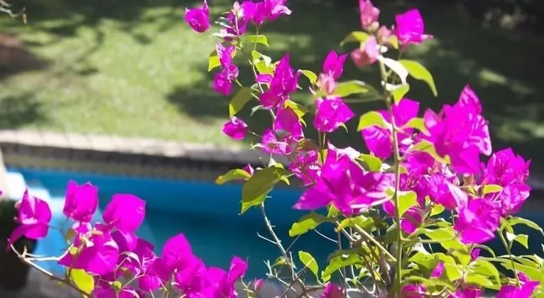 Süit, Özel Banyo (Master)