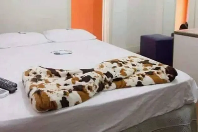 Tek Büyük Yataklı Oda
