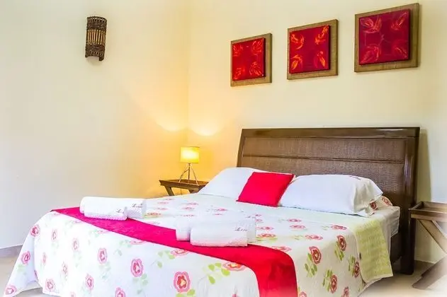 Superior Tek Büyük Yataklı Oda, 1 Çift Kişilik Yatak, Küvet, Zemin Kat