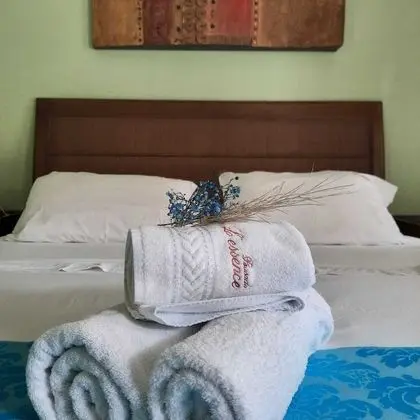 Superior Tek Büyük Yataklı Oda, 1 Çift Kişilik Yatak, Küvet, Zemin Kat