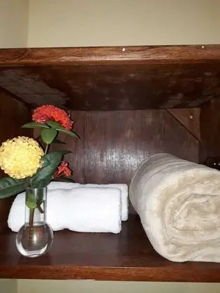 Basic Dağ Evi, Bahçe Manzaralı