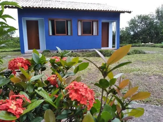 Standard Süit, Dağ Manzaralı