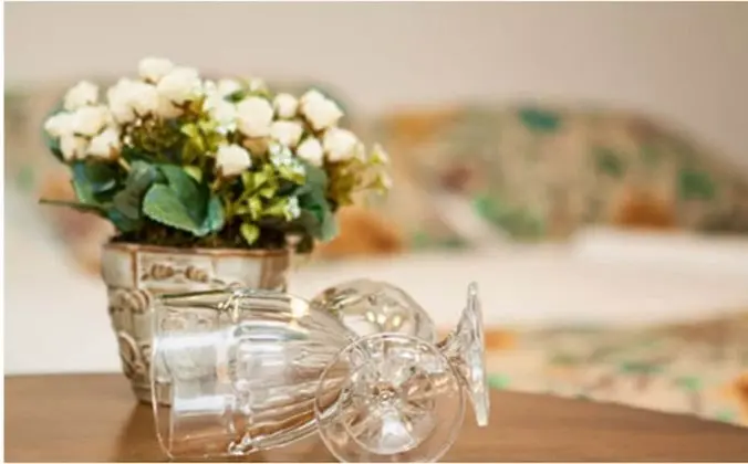 Luxury Tek Büyük veya İki Ayrı Yataklı Oda