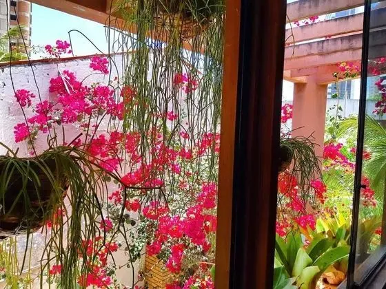 Comfort Dört Kişilik Oda