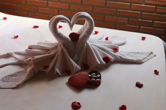 Superior Dağ Evi