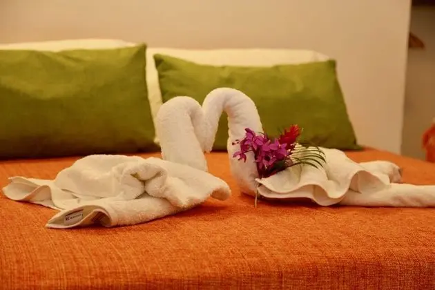 Deluxe Dağ Evi