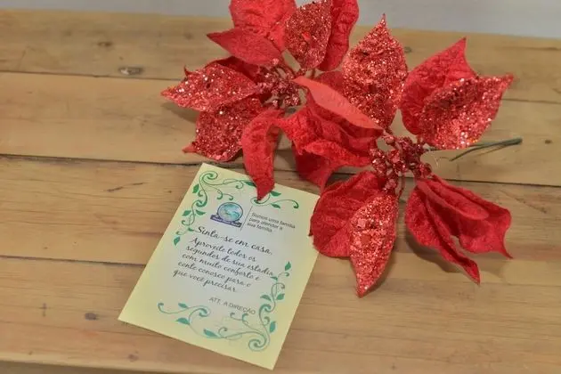 Family Oda, 1 Yatak Odası, Park Manzaralı