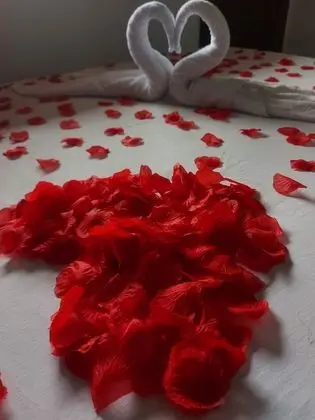 Quarto duplo
