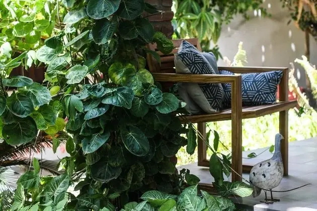 Basic Apart Daire, 1 Çift Kişilik Yatak, Balkon, Plaj Kenarı