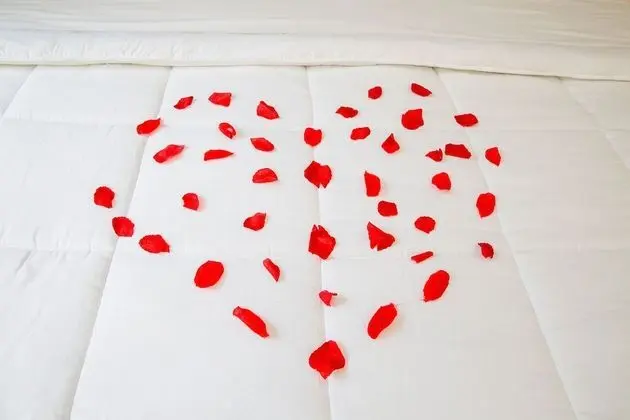 Superior Tek Büyük veya İki Ayrı Yataklı Oda