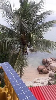 Basic Apart Daire, 2 Yatak Odası, Deniz Manzaralı, Denize Bakan