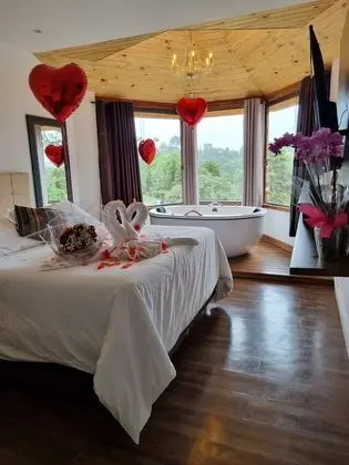 Panoramic Tek Büyük Yataklı Oda, 1 Büyük (Queen) Boy Yatak, Küvet, Dağ Manzaralı