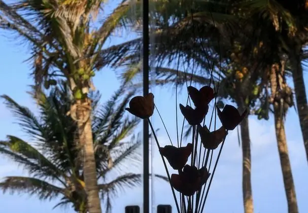 Standard Tek Büyük Yataklı Oda, Deniz Manzaralı