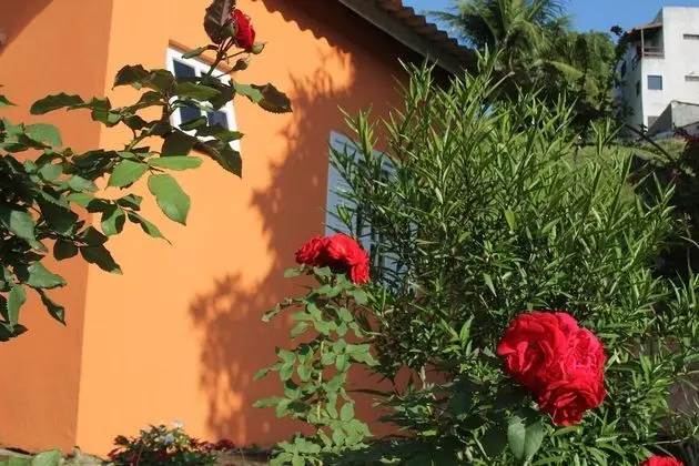 Süit, 1 Çift Kişilik Yatak, Sigara İçilmez (1)