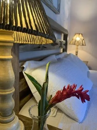 Panoramic Tek Büyük Yataklı Oda