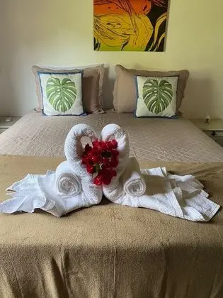 Comfort Ev