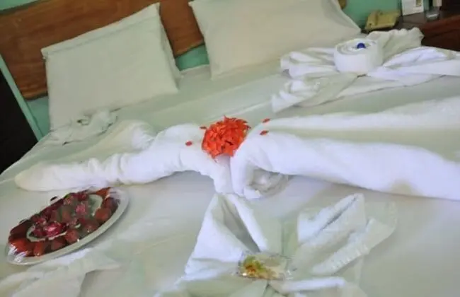 Traditional Tek Büyük veya İki Ayrı Yataklı Oda