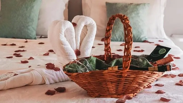 Tek Büyük veya İki Ayrı Yataklı Oda, Balkon, Bahçe Manzaralı