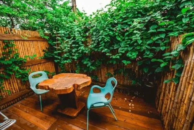 Standard Süit, 1 Çift Kişilik Yatak